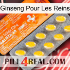 Ginseng For Kidney new05